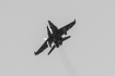 McDonnell Douglas EF-18M Hornet